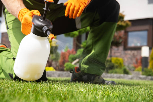 Trusted Venus, TX Pest Control Experts