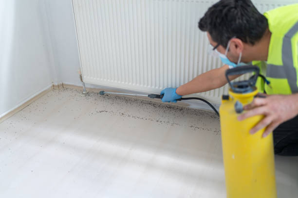 Best Local Pest Control Services  in Venus, TX