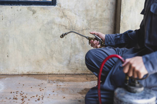 Best Best Pest Control Companies  in Venus, TX